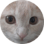 subdomain-list-darkinowls.pages.dev favicon